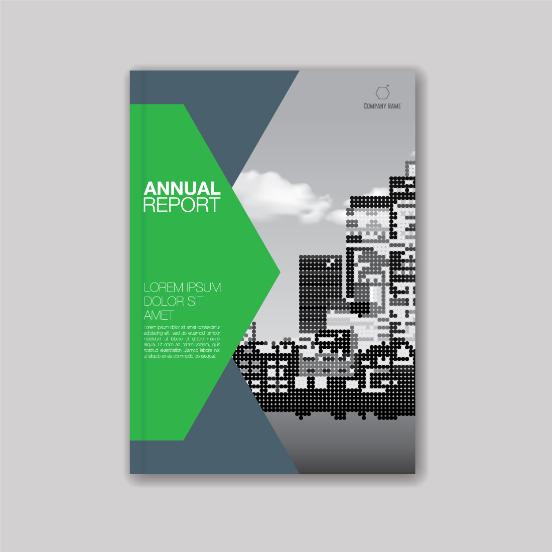 Custom printed annual report booklet with professional layout and modern corporate design
Custom printed annual report booklet with professional layout and modern corporate design