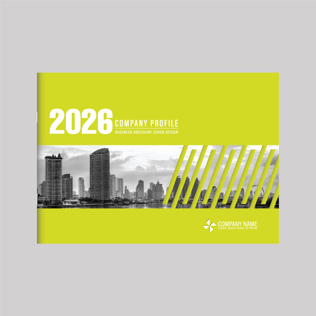 Custom printed annual report booklet with professional layout and modern corporate design
Custom printed annual report booklet with professional layout and modern corporate design